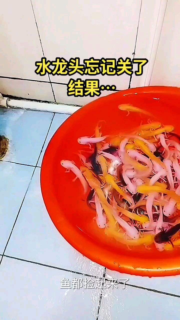 可别学我呀，换水时候别忘了关水！