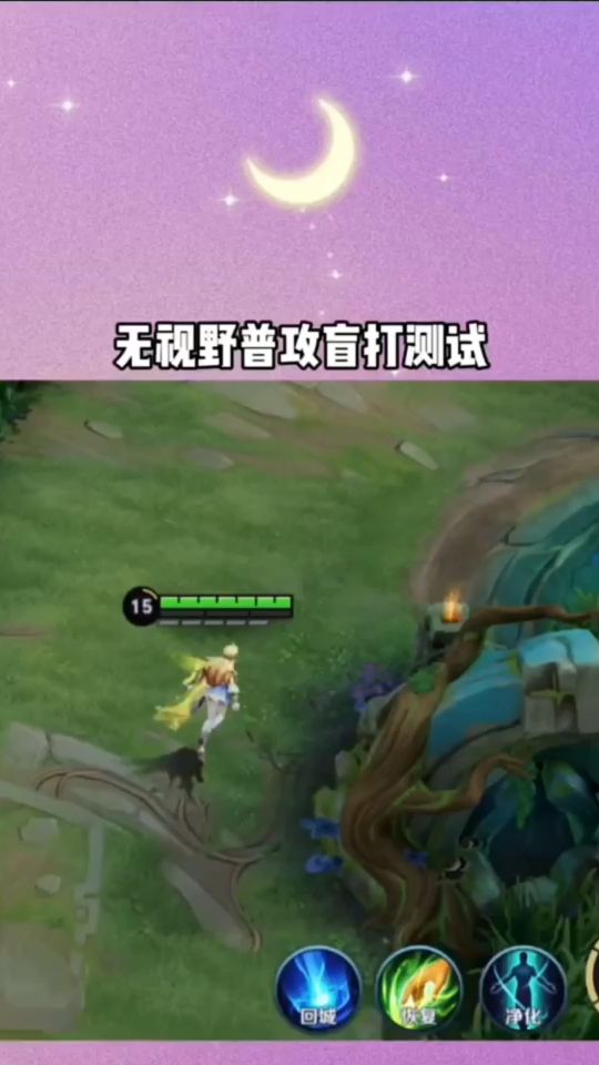 王者荣耀：无视野普攻盲打测试！
