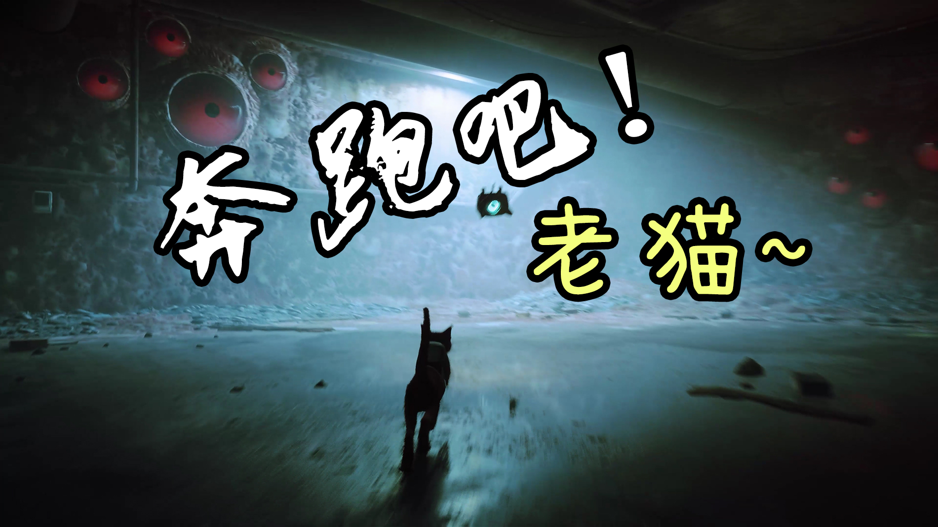 【迷失Stray】逃逃逃~猫星人高能三段逃生#游戏精彩片段#高能片段