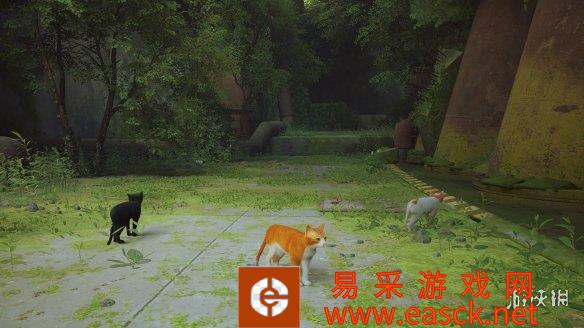 《Stray》可爱的白手套橘猫mod