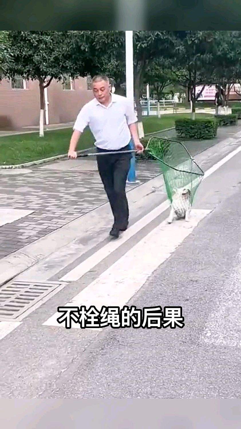 不栓绳谁也不好使