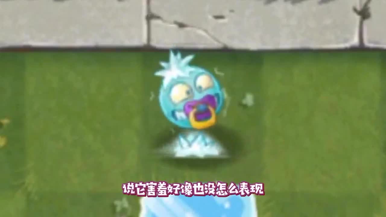 植物大战僵尸：不同害羞植物都是怎么应对僵尸的？仙人掌YYDS