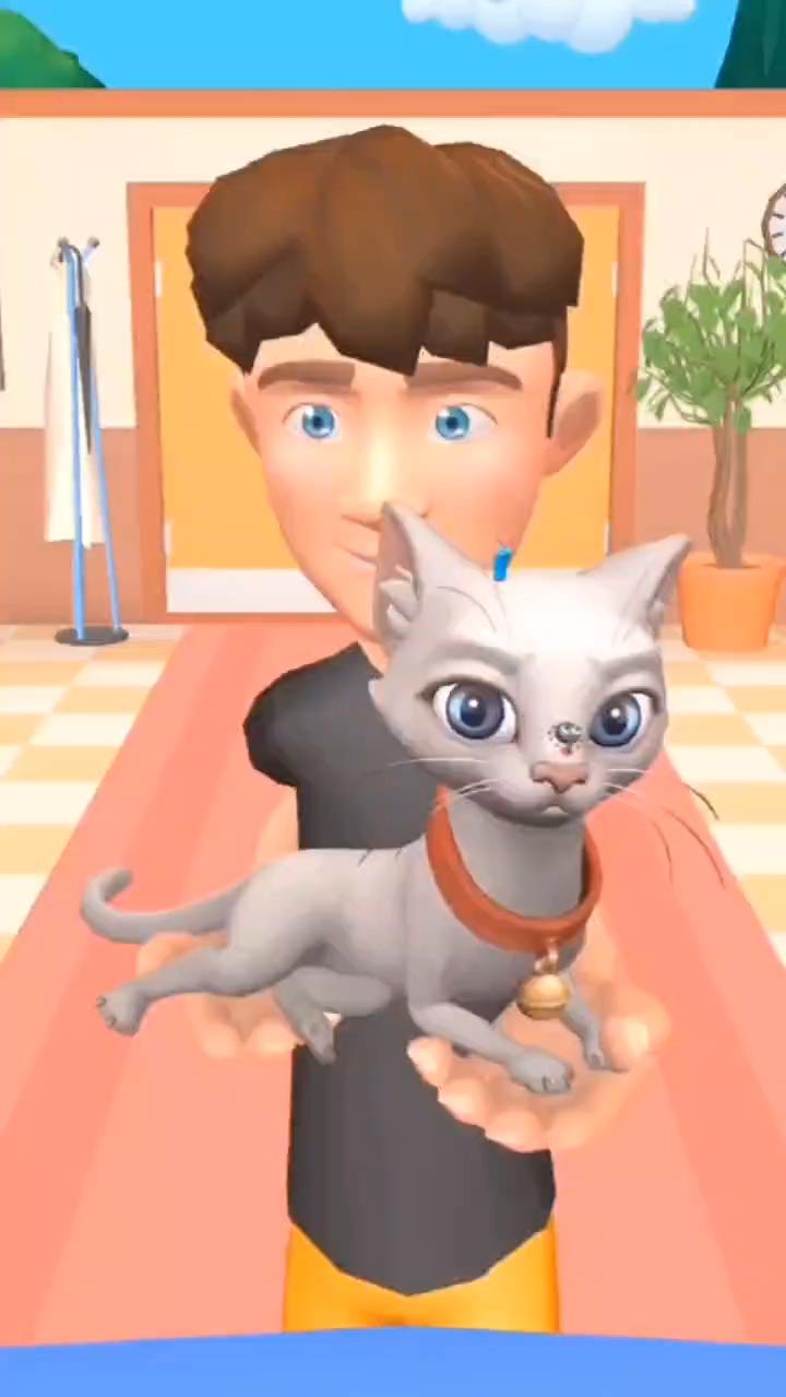 唐三哥哥的小猫咪生病了