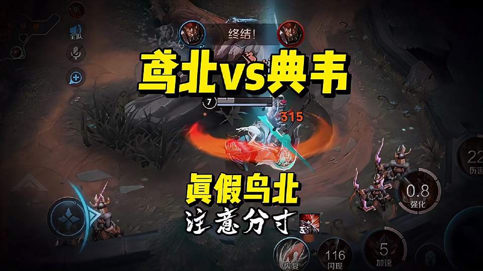 真正的典韦王是会穿墙的！注意分寸！