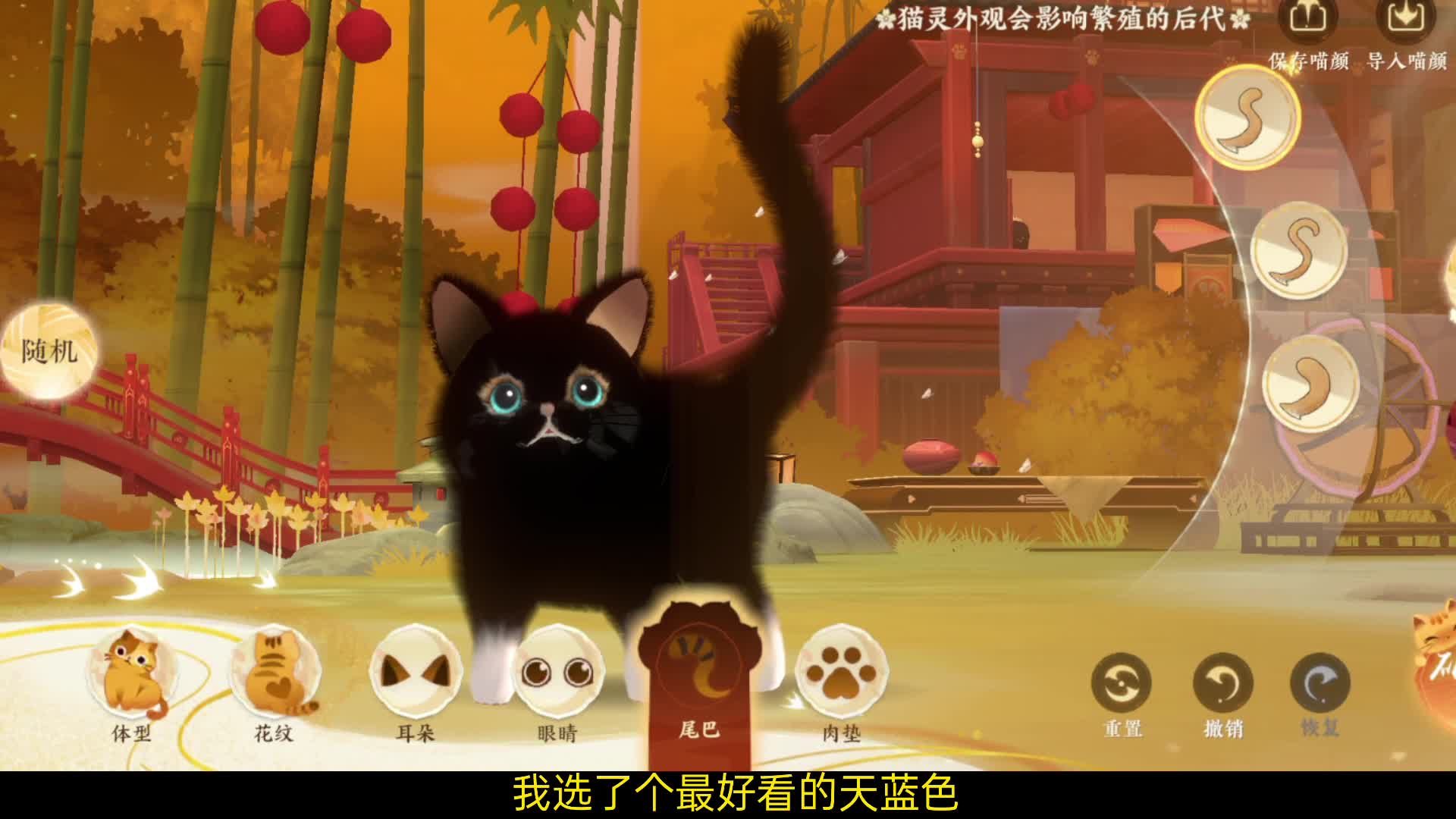 捏脸游戏应该很多人玩过吧，但是你见过捏猫的游戏吗？