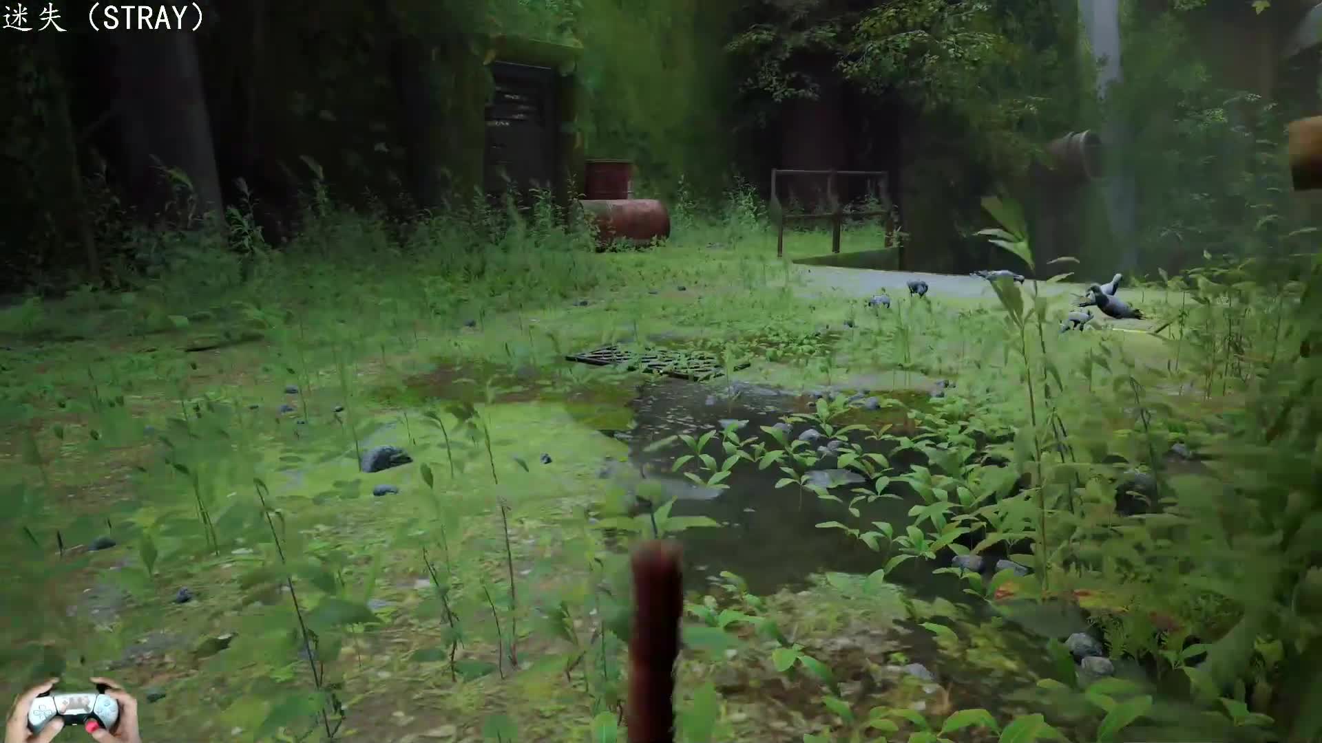 PS5：01迷失（STRAY），赛博朋克猫，单人游戏剧情全流程