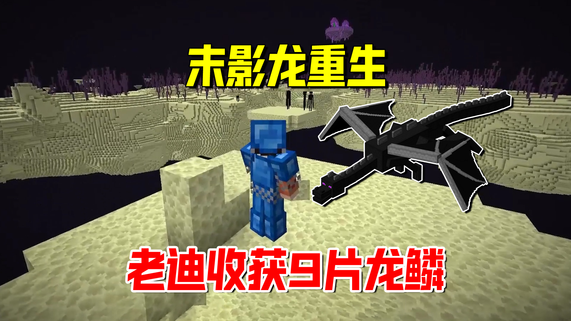 我的世界匠魂146：末影龙重生，老迪收获9片龙鳞，不羡慕独臂侠了#我的世界#沙盒游戏