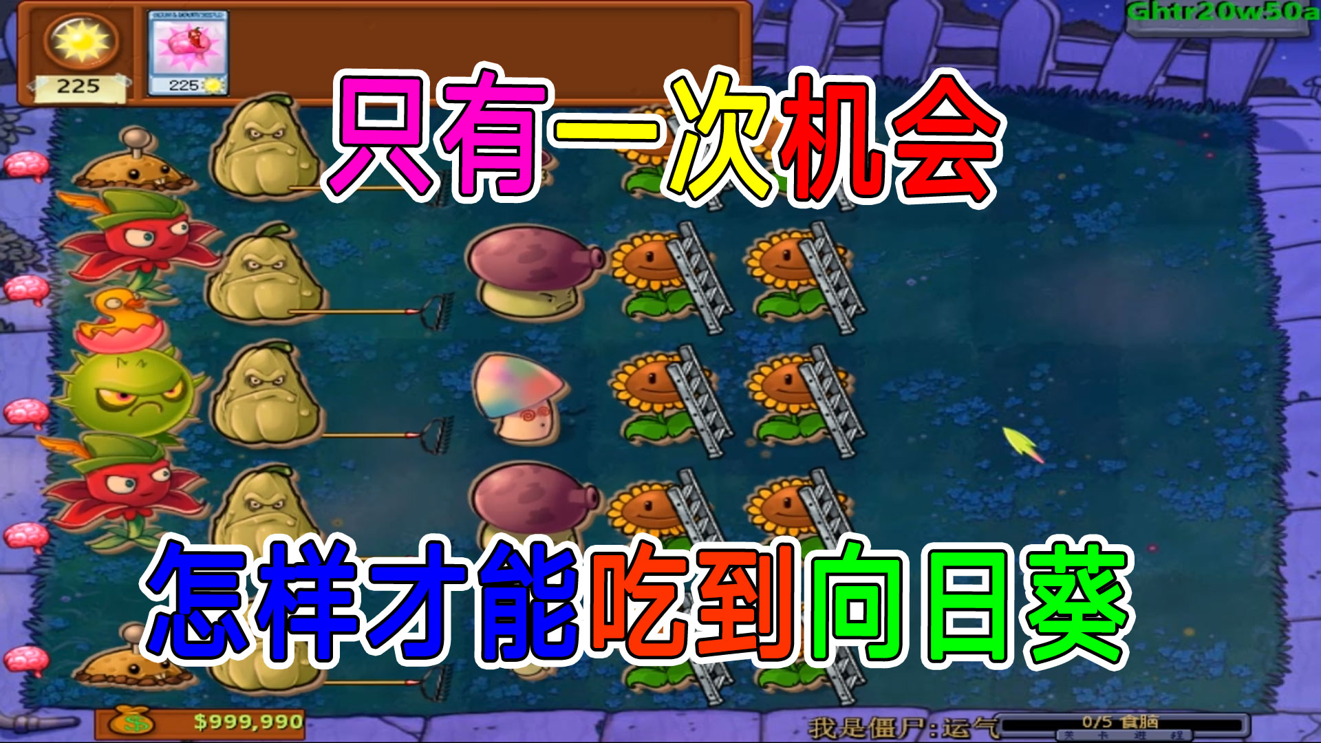 植物大战僵尸：开局225阳光，向日葵竟然全被搭上梯子#植物大战僵尸#主机游戏