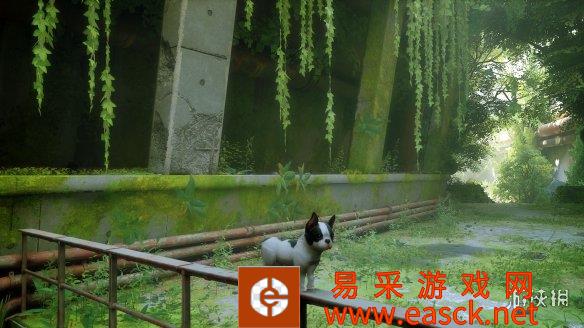 可爱的小狗代替小猫MOD
