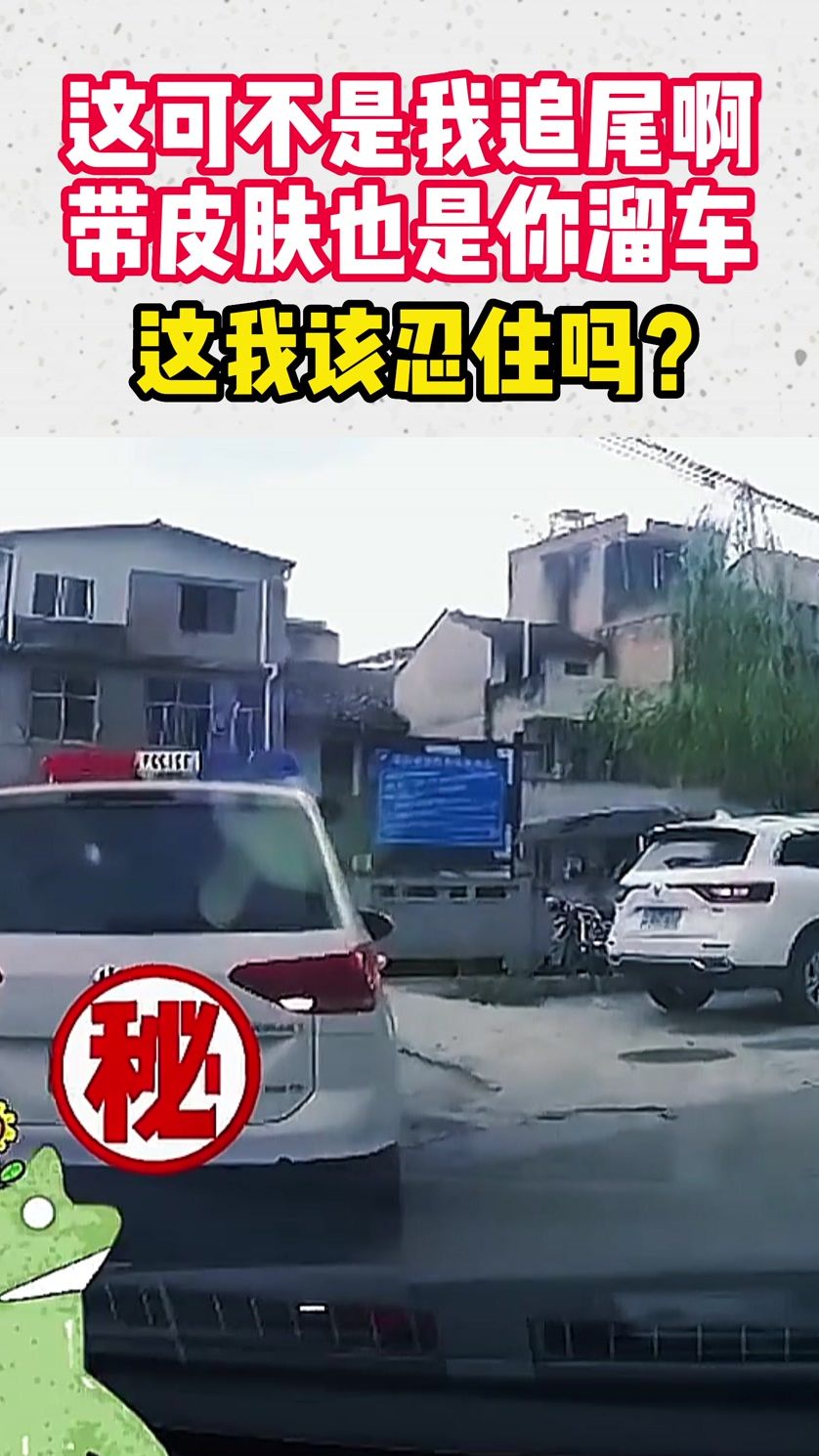 这可不是我追尾啊，带皮肤也是你溜车！这我该忍住吗？