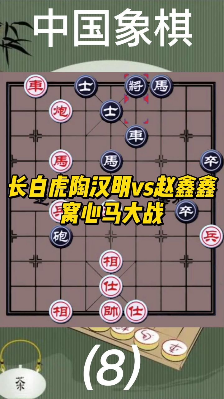 长白虎陶汉明vs赵鑫鑫，窝心马大战（8）