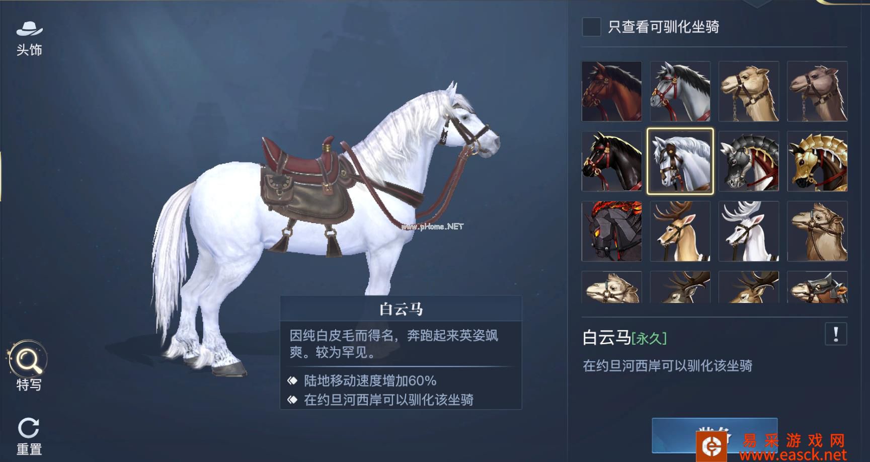《黎明之海》全坐骑攻略 稀有坐骑免费获取 