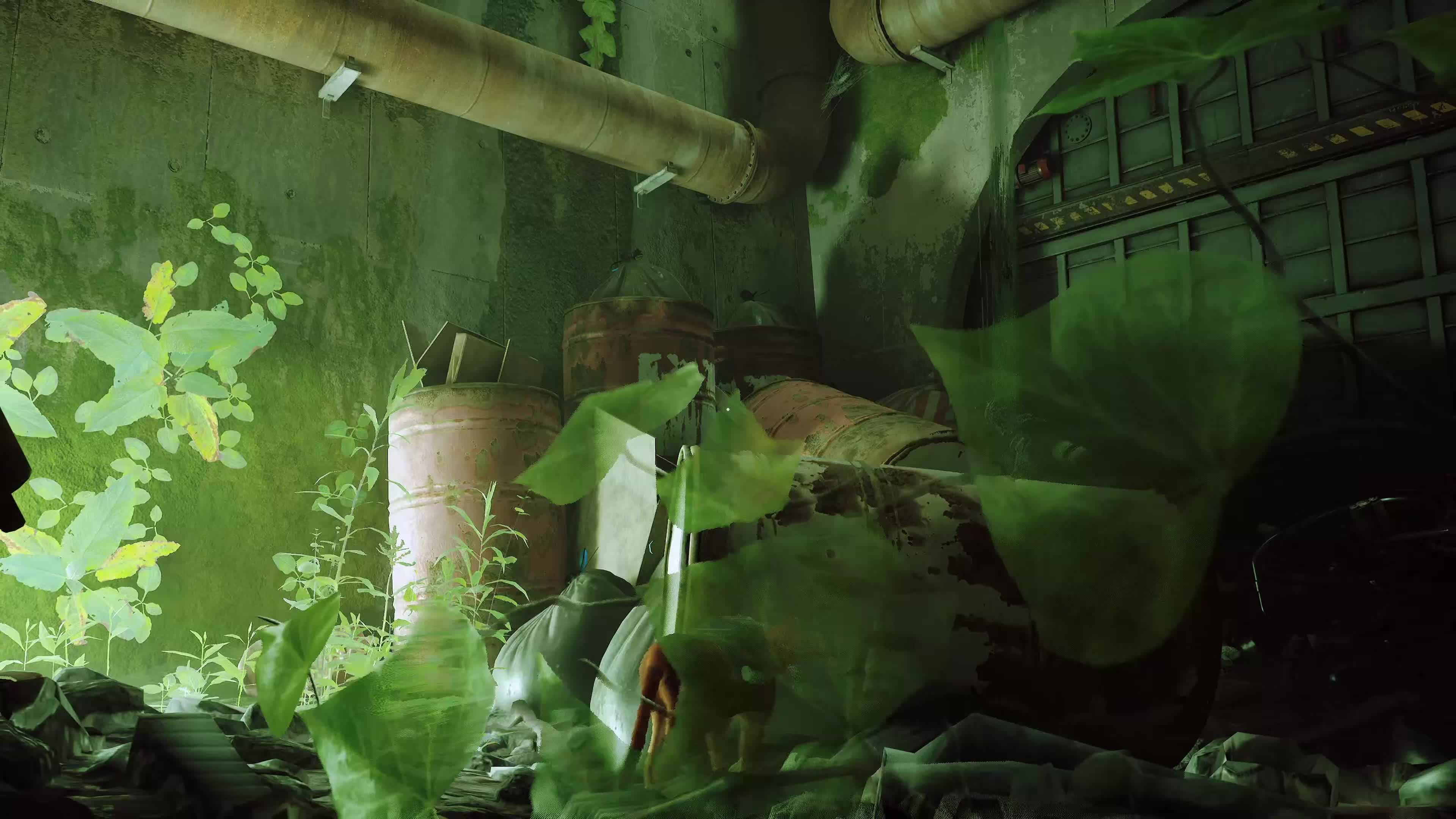 【游戏4K通关视频】PS5原码 《STRAY》（7）死路 解困Seamus父亲