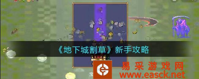 /handbook/2022/07-25/51191.shtml