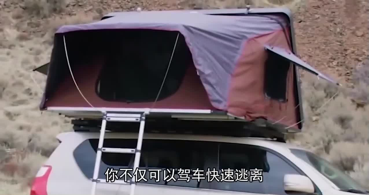 四个应对僵尸末日来临的好主意
