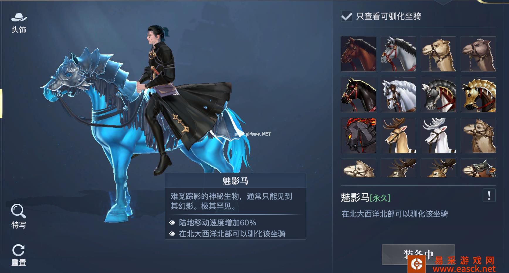 《黎明之海》全坐骑攻略 稀有坐骑免费获取 