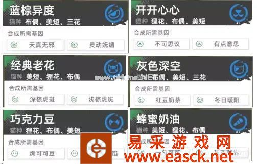 《猫之城》极品基因合成公式分享2022