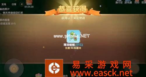 《摩尔庄园手游》螳螂捕捉方法