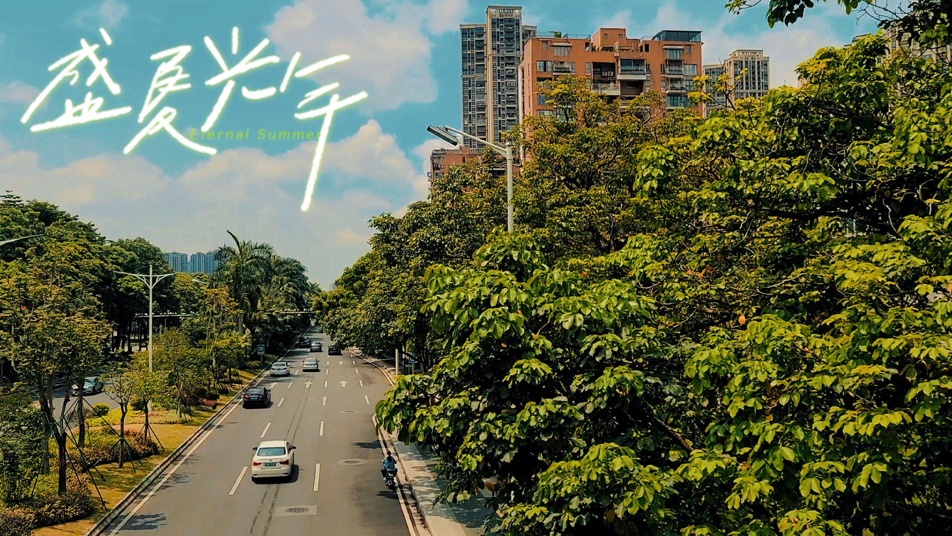 阳光落地有声，时光灼灼如焚，与夏天一起灿烂鲜活。 #我是Vlogger  #盛夏记忆 