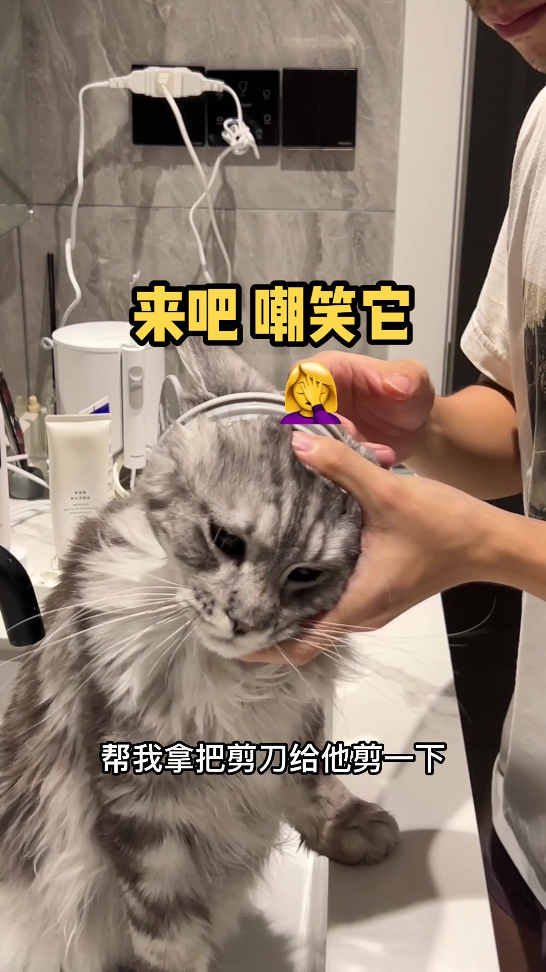 真是 素材喂到我嘴边
