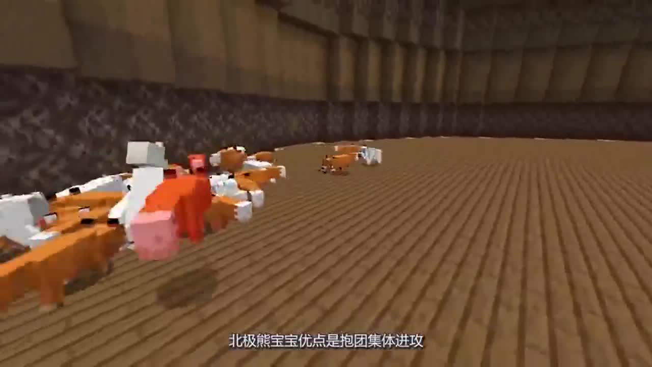 我的世界：狐狸vs北极熊，狐狸虽强，可奈何对方是熊？