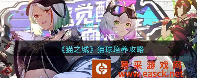 《猫之城》猫球培养攻略