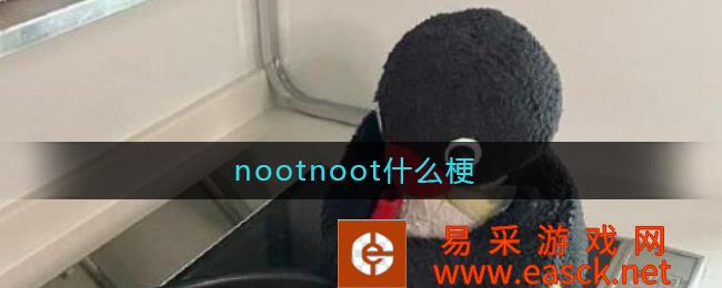 nootnot什么梗 《D小调安魂曲》搭配Pingu阴沉的画