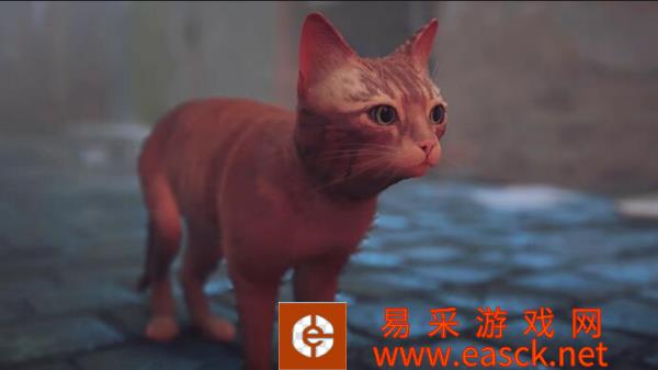 /review/2022/07-26/52588.shtml