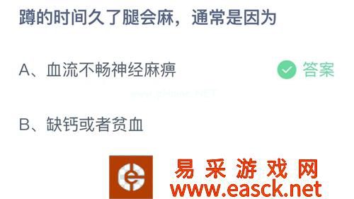 蹲的时间久了腿会麻，通常是因为