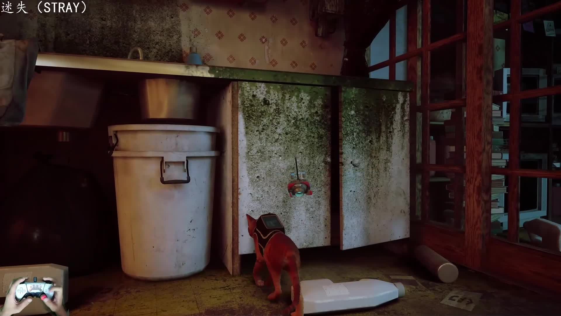 PS5：04迷失（STRAY），赛博朋克猫，单人游戏剧情全流程