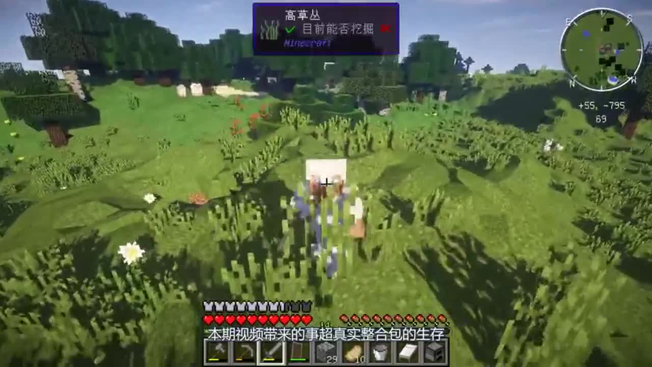 我的世界超真实生存：钻石加金锭，这个村庄简直富裕到不行！
