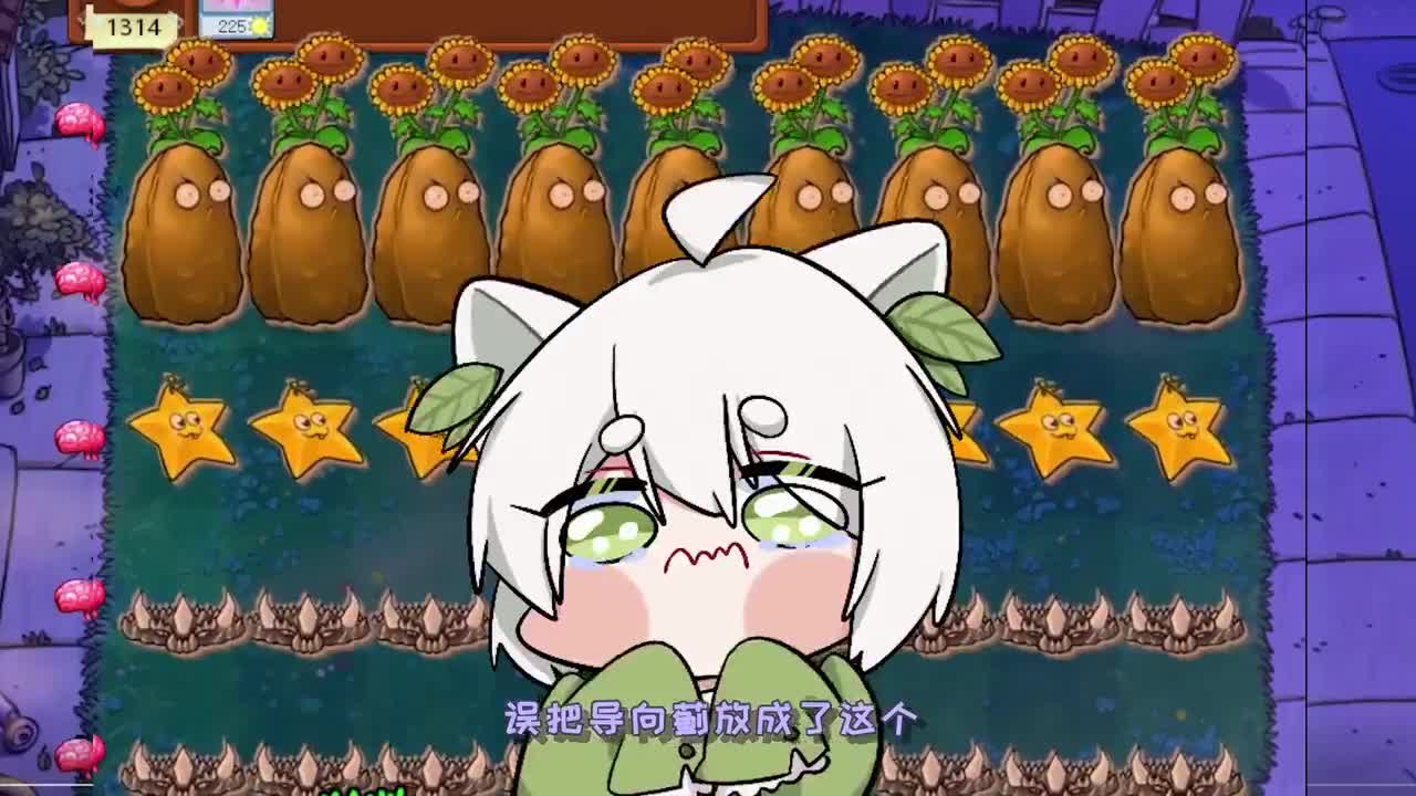 植物大战僵尸：粉丝卡组大测试！小妹：这回运气一定厉害！