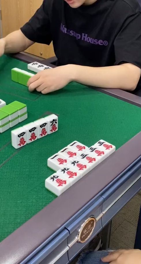 反正麻将：大白天的你说什么胡话呢？