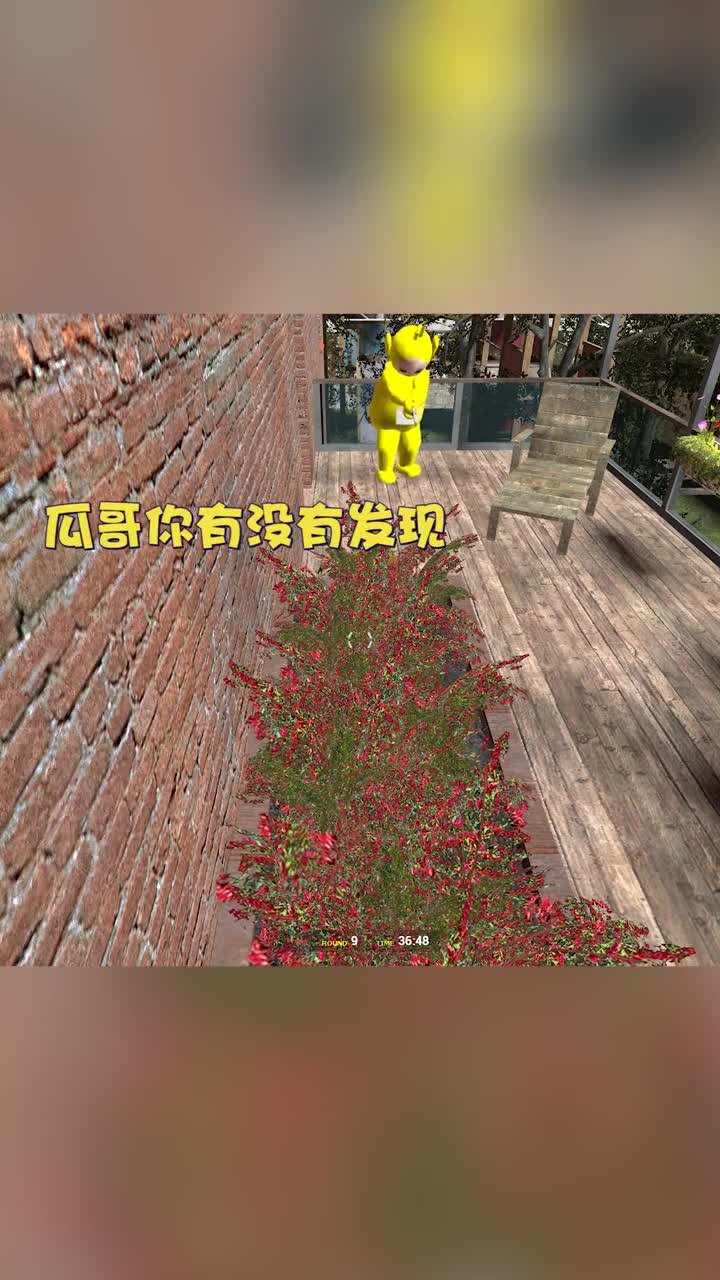 为什么那个破碎的花篮会消失呀！