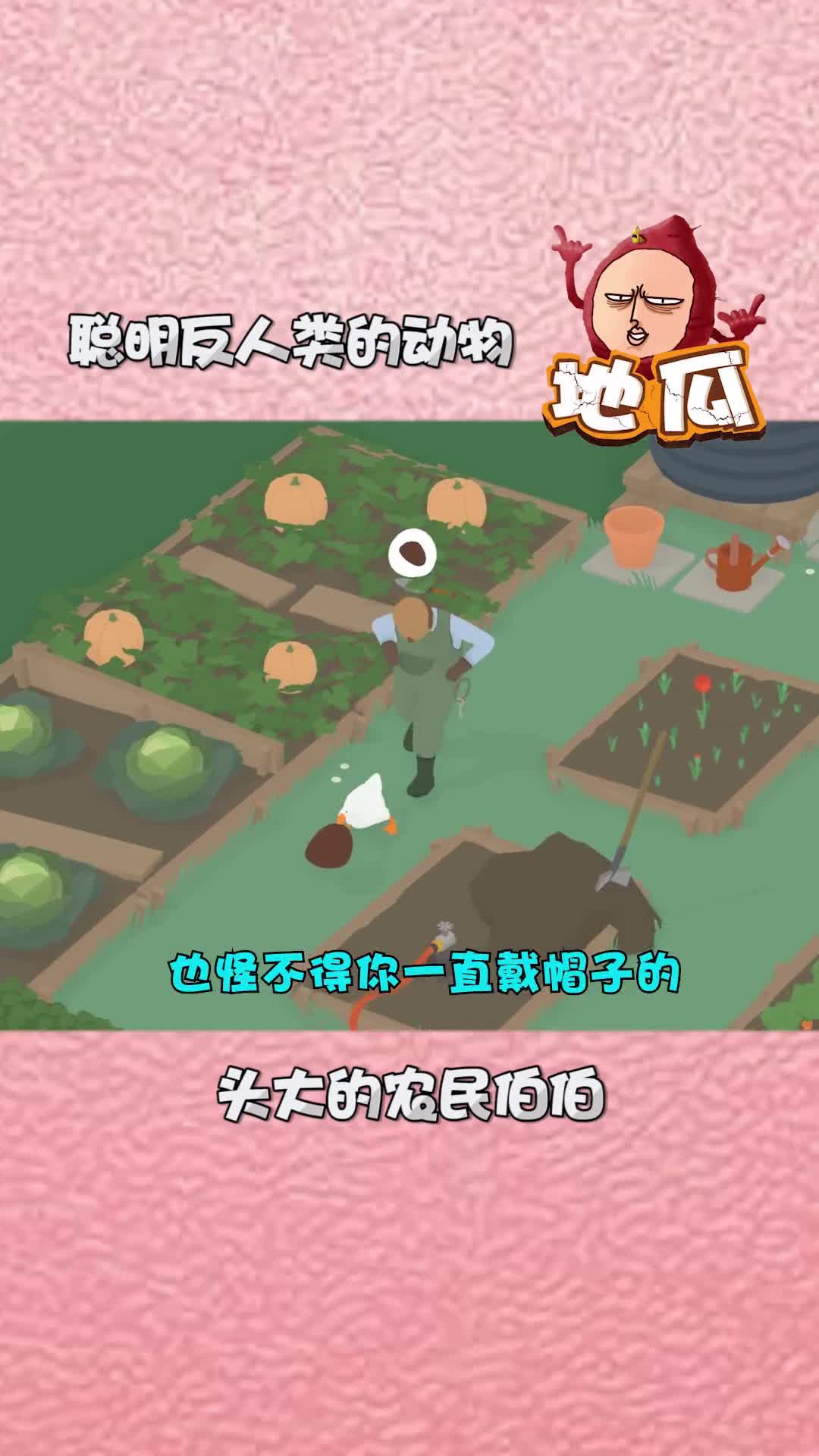 你们猜伯伯今晚吃什么