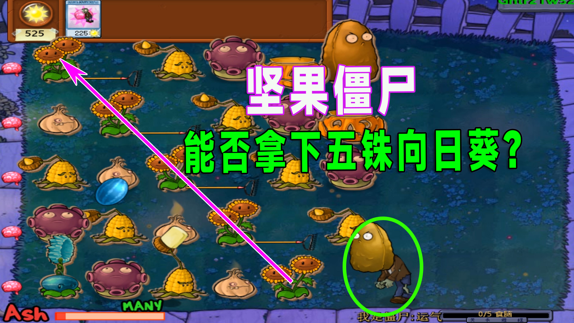 植物大战僵尸：一个高坚果僵尸能一次拿下五朵向日葵？#植物大战僵尸