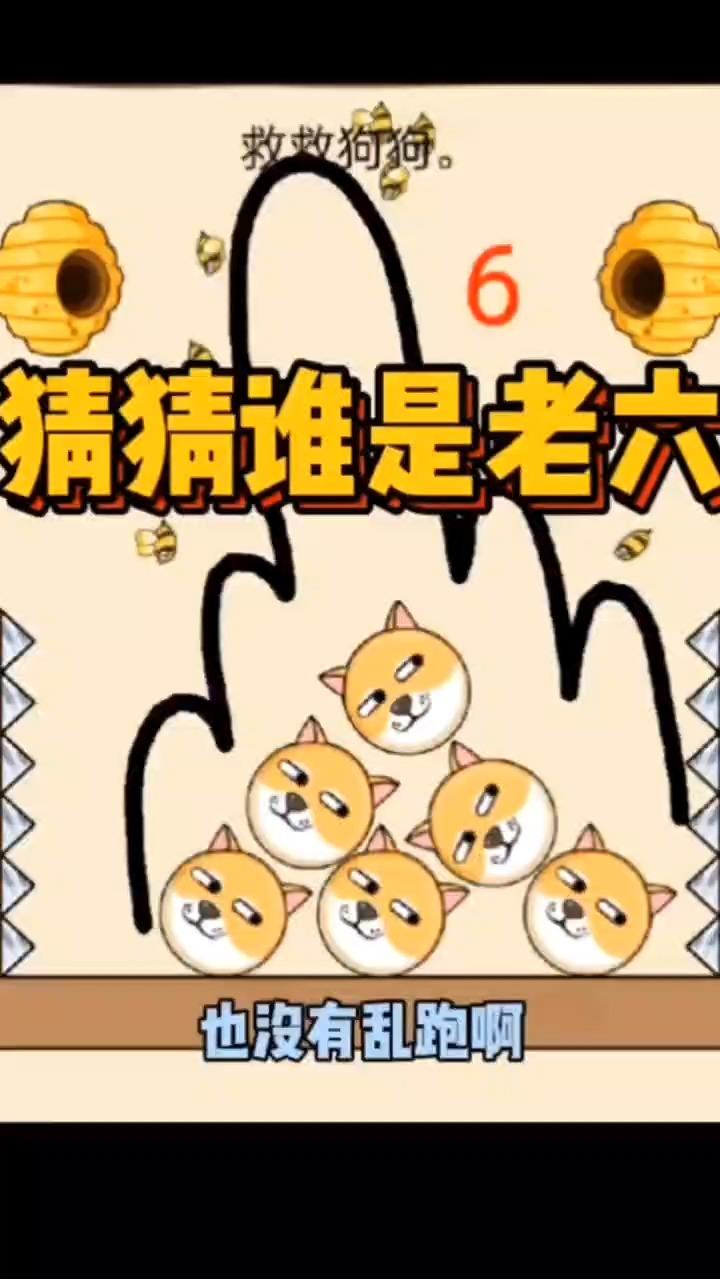 猜猜谁是老六