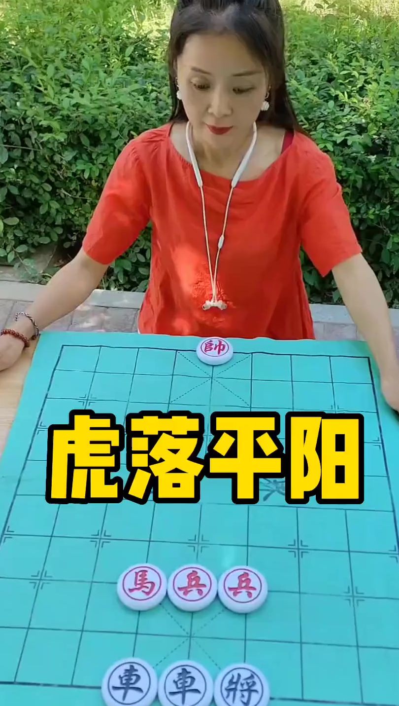 象棋残局 虎落平阳
