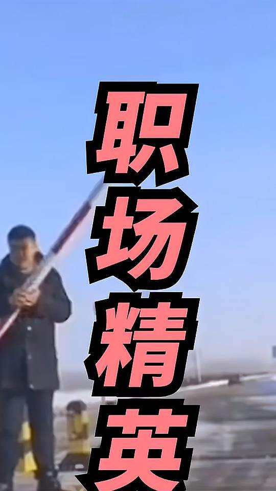 碰到这些精英，老板不得偷着乐啊