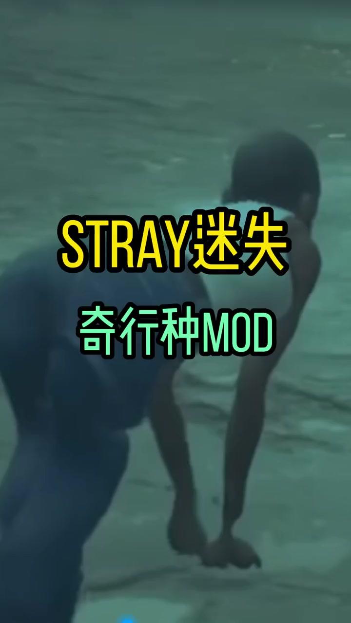mod令我大开眼界～steam游戏 单机游戏 stray ps5 游戏杂谈