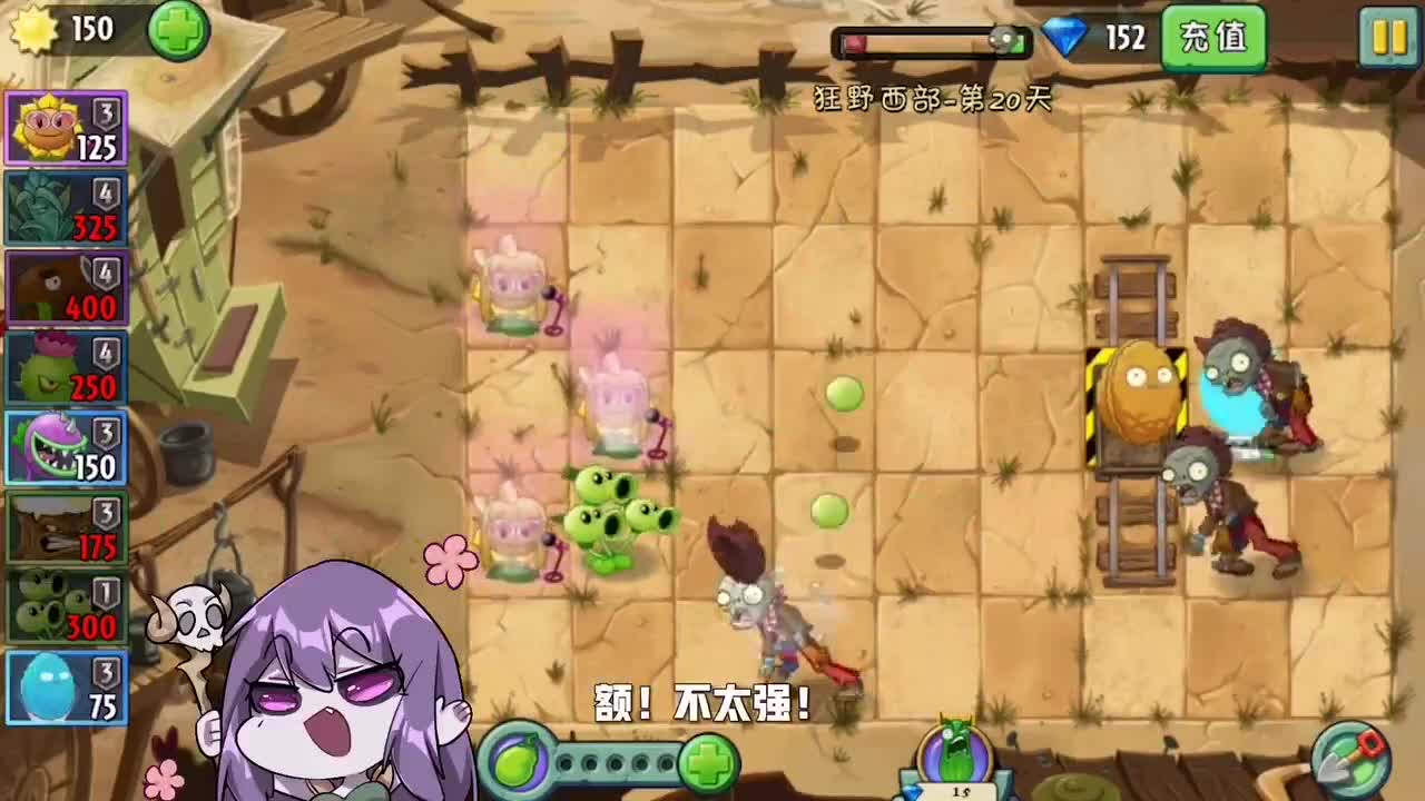 植物大战僵尸：保护坚果！当然是坚果最适合啦！
