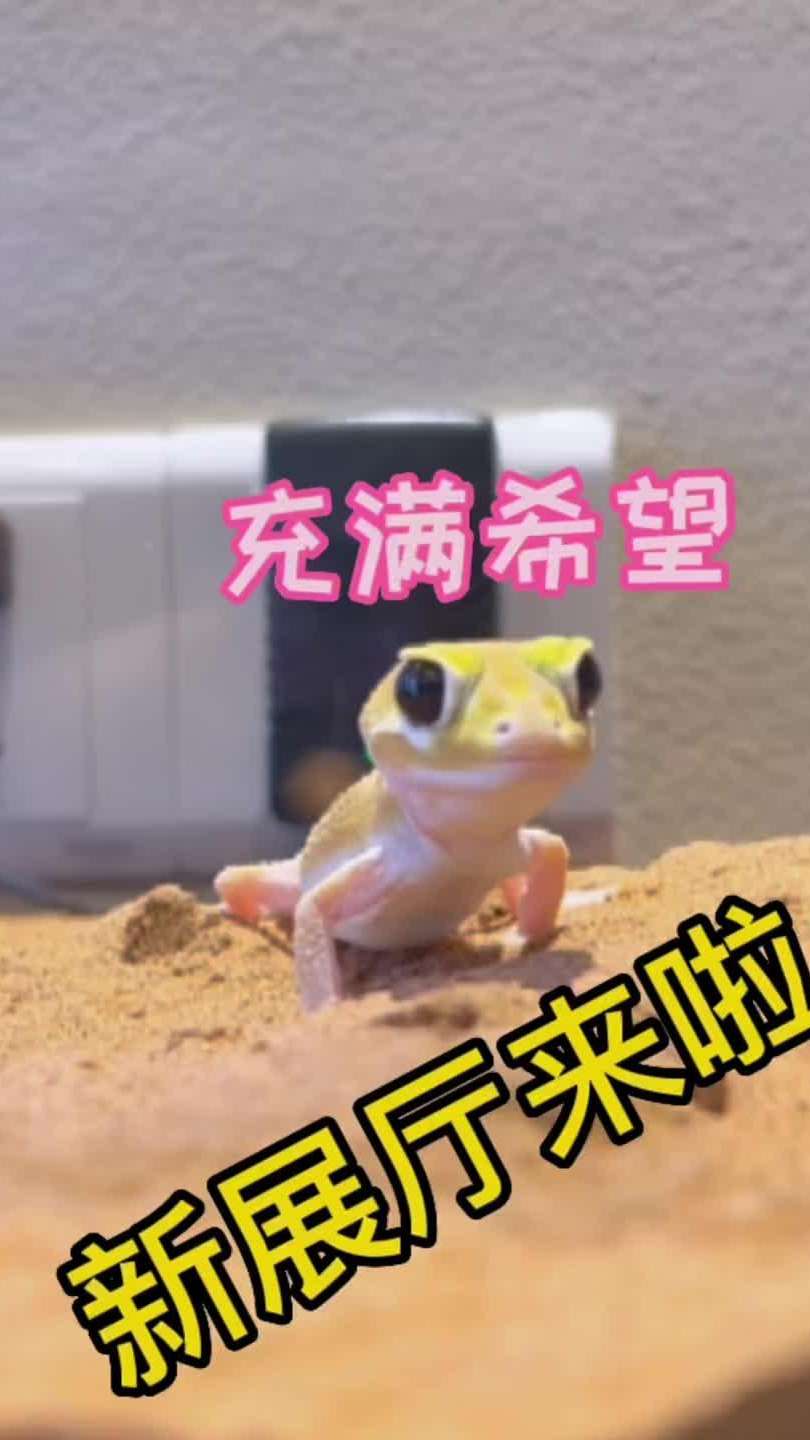 下一篇章正式启动~这期看大家的了