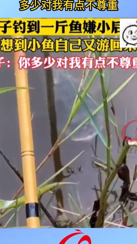 多少对我有点不尊重