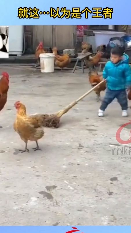 就这……以为是个王者