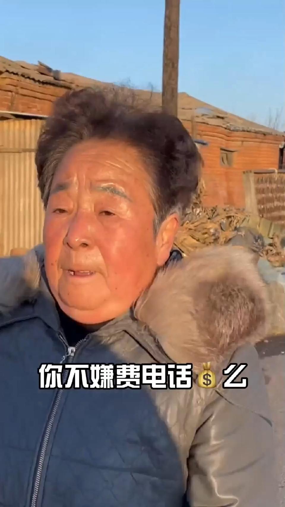 我溜达一会我招谁惹谁了