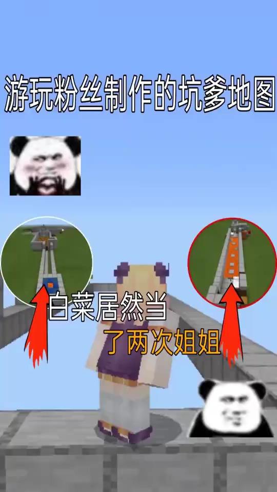 太难了白菜