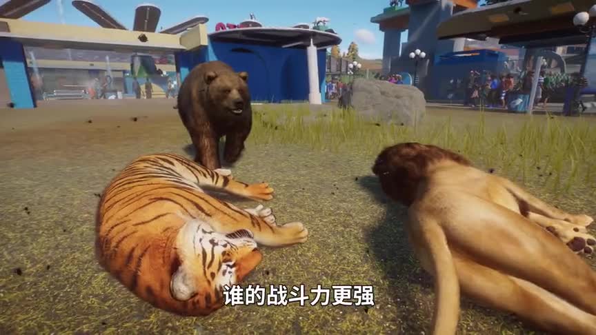 动物园之星09：老虎狮子难敌棕熊，这场兽王争霸，冠军当之无愧