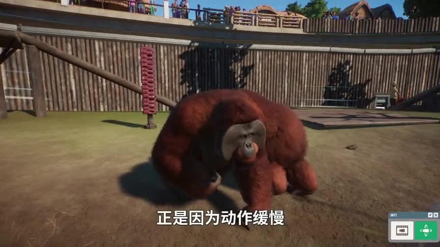 动物园之星04：这是一只稀有蜥蜴，深受游客喜爱，可惜濒临灭绝