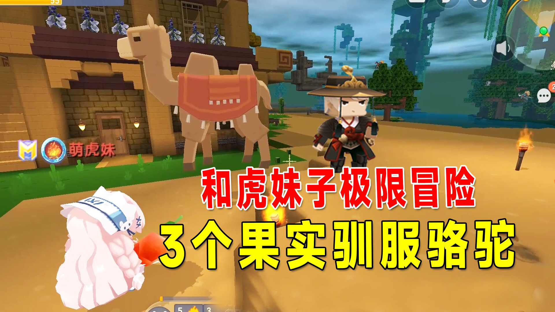 迷你世界沙漠生存2：八哥用3个果实驯服骆驼，不需要鞍直接可以骑#迷你世界