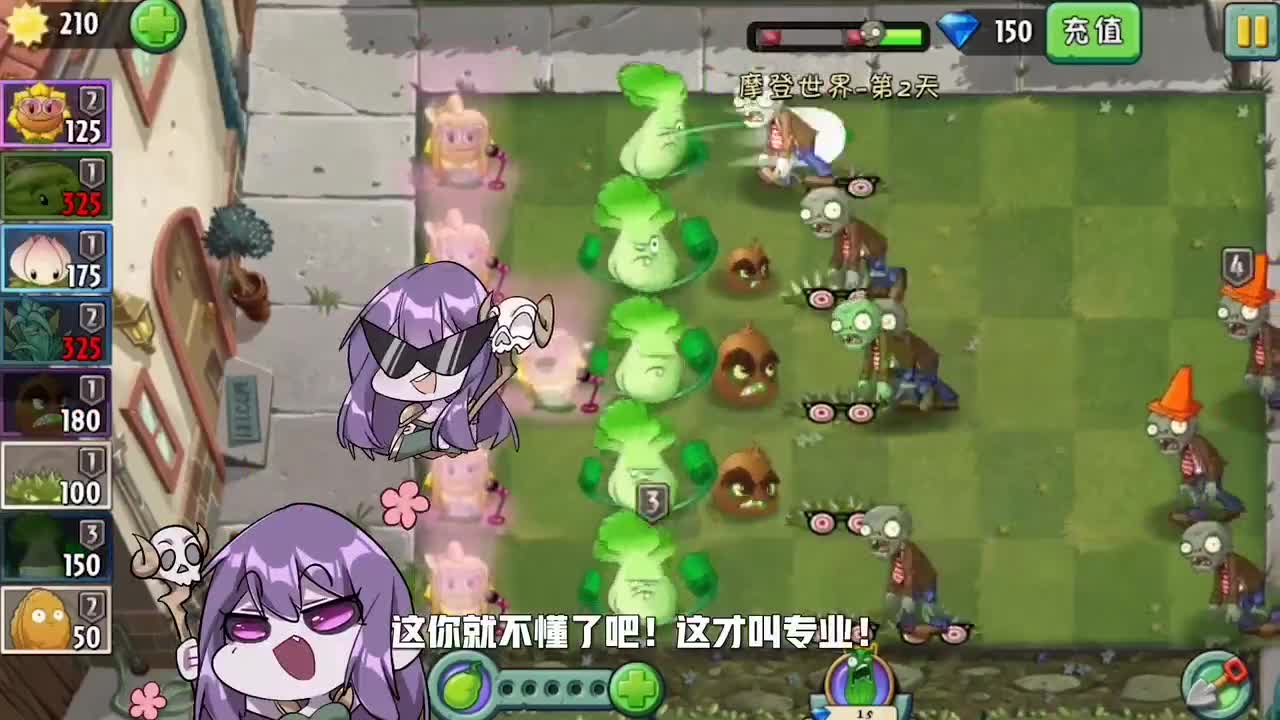 植物大战僵尸：菜问，地刺，猕猴桃，专业按摩60年！